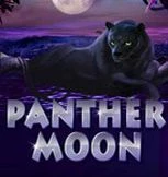 Panther Moon