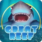 Terumbu Karang Besar