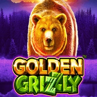 Golden Grizzly